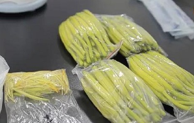 饭堂承包公司澳门威斯尼斯wns888告诉您：黄花菜的正确食用方法及储存方法